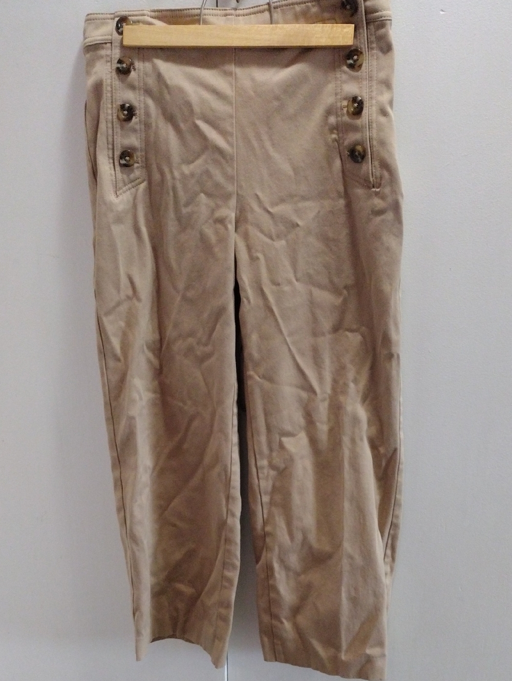 Ann Taylor Neutral Tan Pants with Black Label